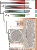 Graphical Abstract Image