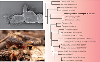 Graphical Abstract Image