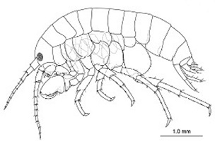 Graphical Abstract Image