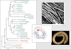 Graphical Abstract Image