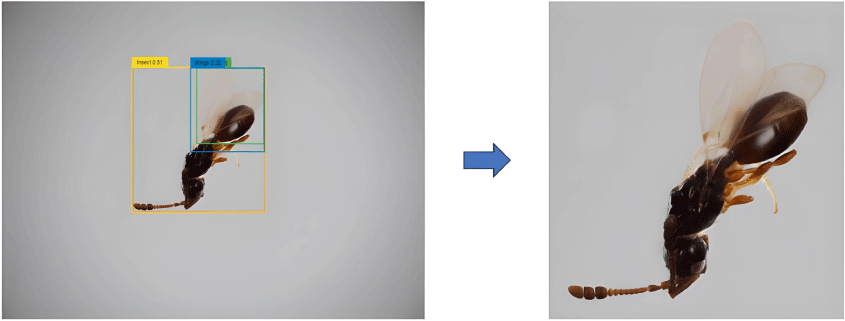 IS24011_F1.gif