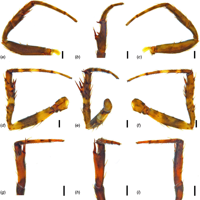 IS25009_F3.gif