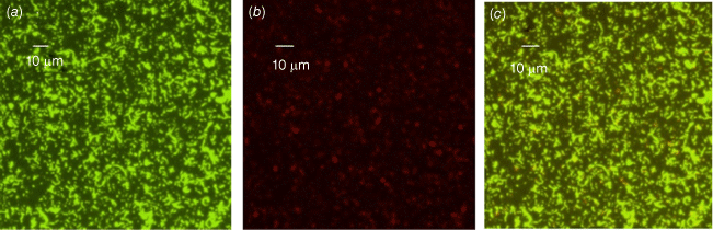 MA23028_F3.gif