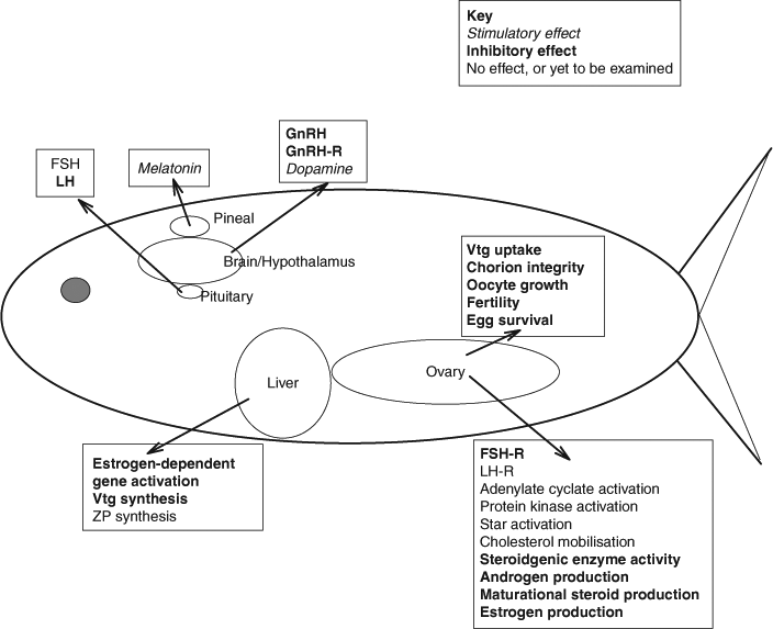 CSIRO PUBLISHING | Marine and Freshwater Research