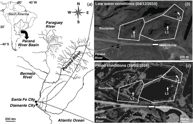 Study area and sampling lakes in the Upper Paraná River Floodplain