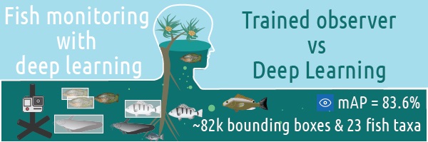 Illustration depicting monitoring tropical freshwater fish with underwater magnification and deep learning.