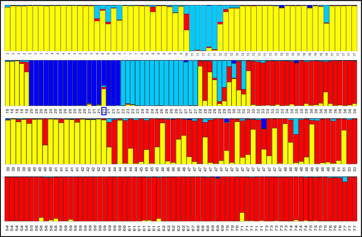 MF24257_F4.gif