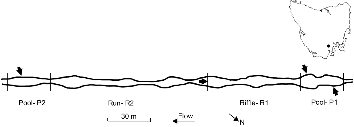 MF25030_F1.gif