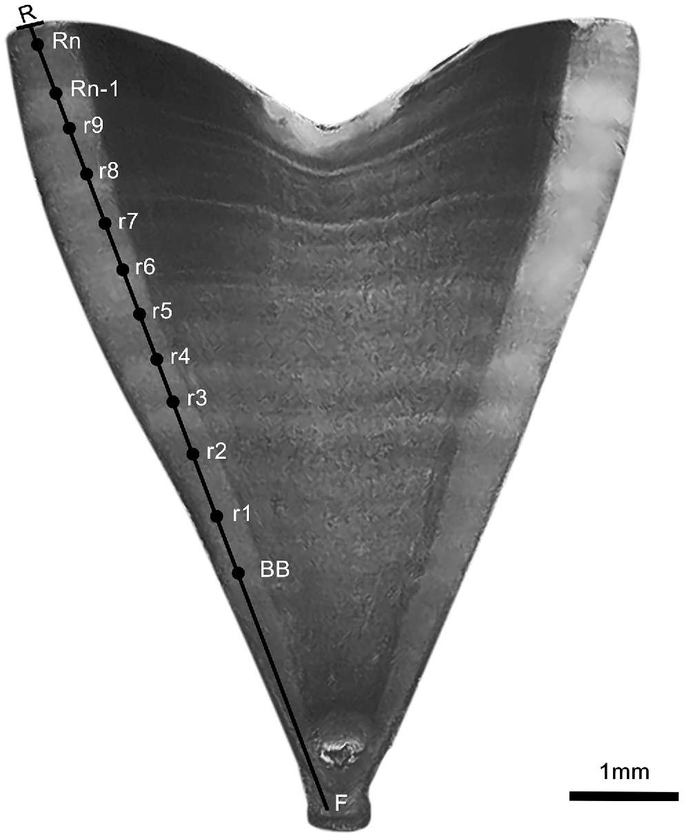 PC24090_F2.gif