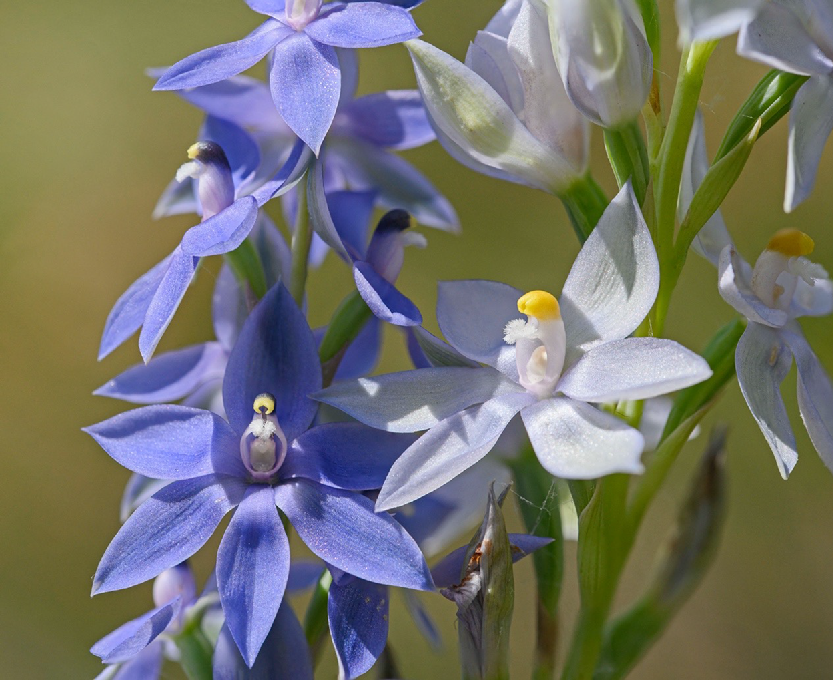 PC25045_F17.gif