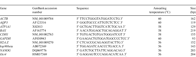 Besplatna programma print knij free