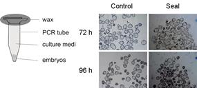 Graphical Abstract Image