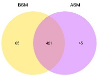 Graphical Abstract Image