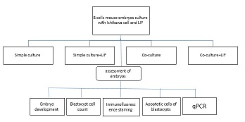 Graphical Abstract Image