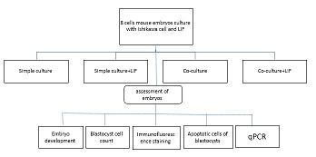 Graphical Abstract Image