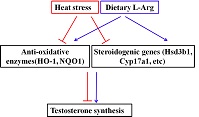 Graphical Abstract Image