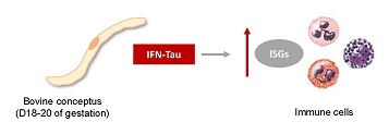 Graphical Abstract Image