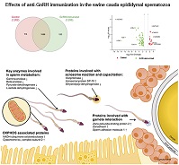 Graphical Abstract Image