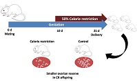 Graphical Abstract Image