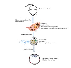 Graphical Abstract Image