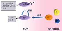 Graphical Abstract Image