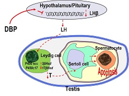 Graphical Abstract Image