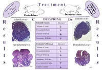 Graphical Abstract Image