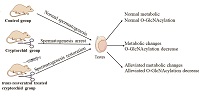 Graphical Abstract Image