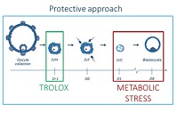 Graphical Abstract Image