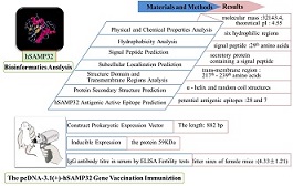 Graphical Abstract Image