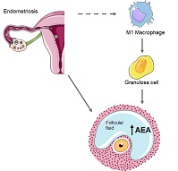 Graphical Abstract Image