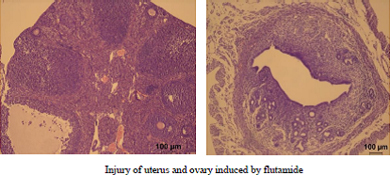 Graphical Abstract Image