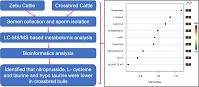 Graphical Abstract Image