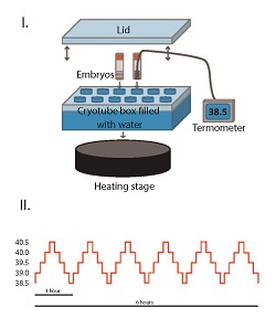 Graphical Abstract Image