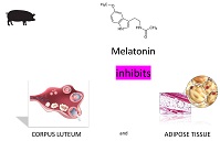 Graphical Abstract Image