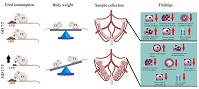 Graphical Abstract Image