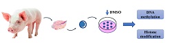 Graphical Abstract Image