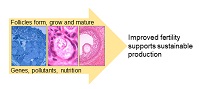 Graphical Abstract Image