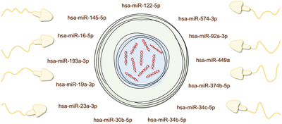 Graphical Abstract Image