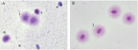 Graphical Abstract Image