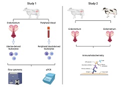 Graphical Abstract Image
