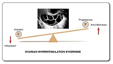 Graphical Abstract Image