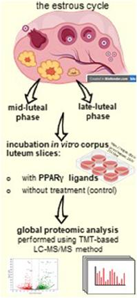 Graphical Abstract Image