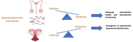 Graphical Abstract Image