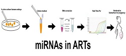 Graphical Abstract Image