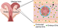 Graphical Abstract Image