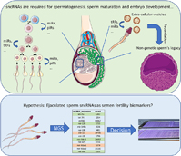 Graphical Abstract Image