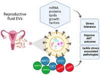 Graphical Abstract Image