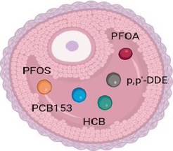 Graphical Abstract Image