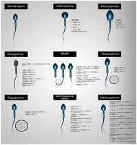 Graphical Abstract Image